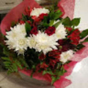 Meet your Posher, Katherine